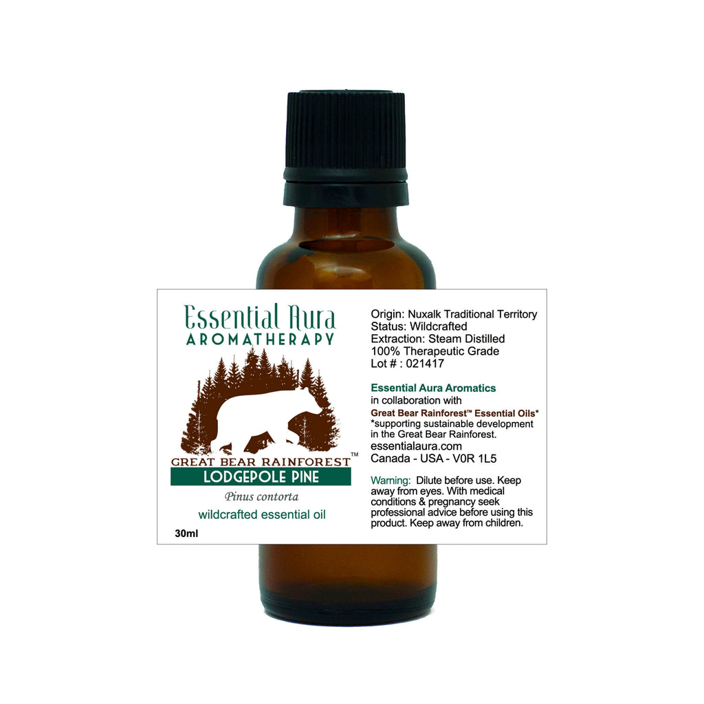 great bear rainforest lodgepole pine essential oil