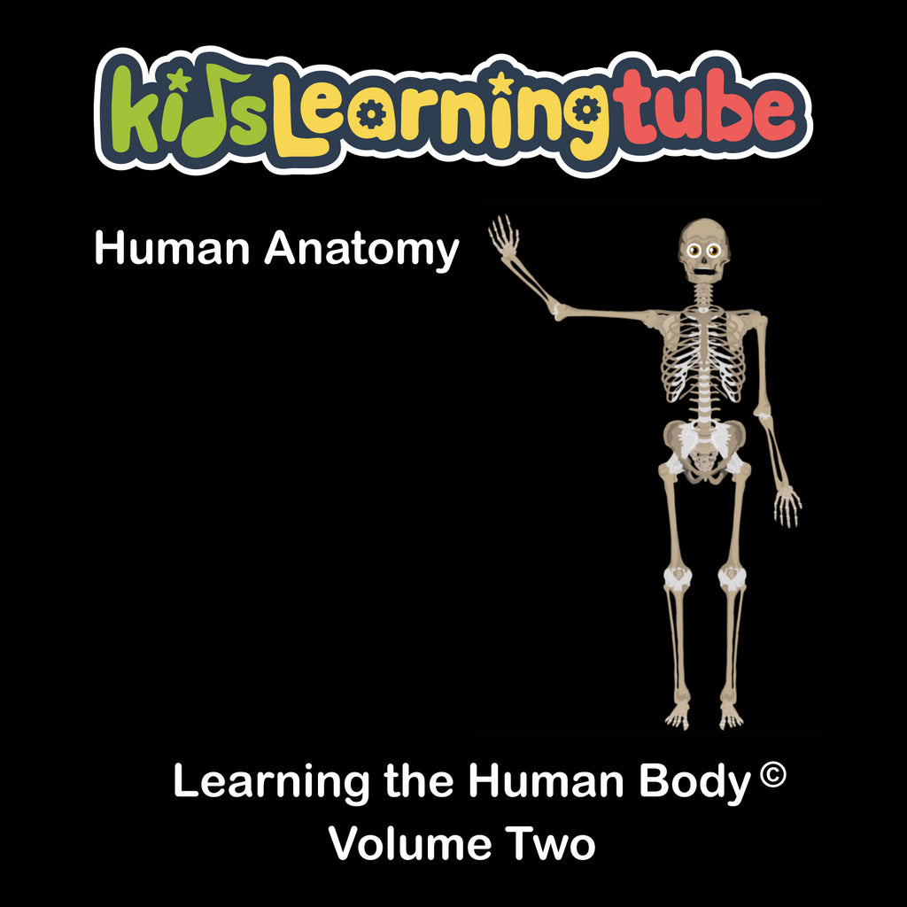 Human Anatomy-Learning the Human Body - Volume II Digital Album – Kids