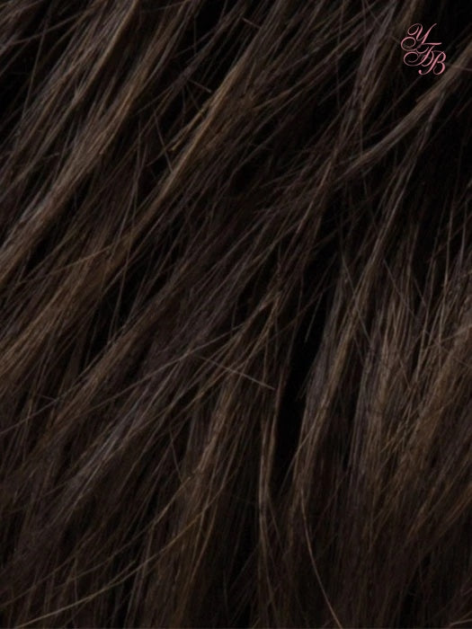 Joy Synthetic Lace Front Wig