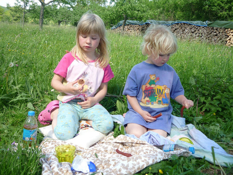 Ultimate British picnic | Children's picnic