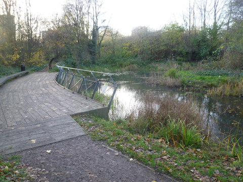 Secret London Picnic Spots | Gillespie Nature Reserve