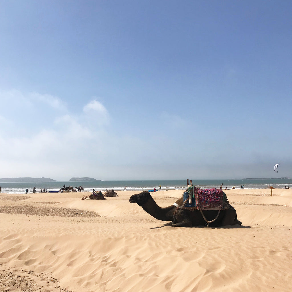 essouira beach marokas kelione