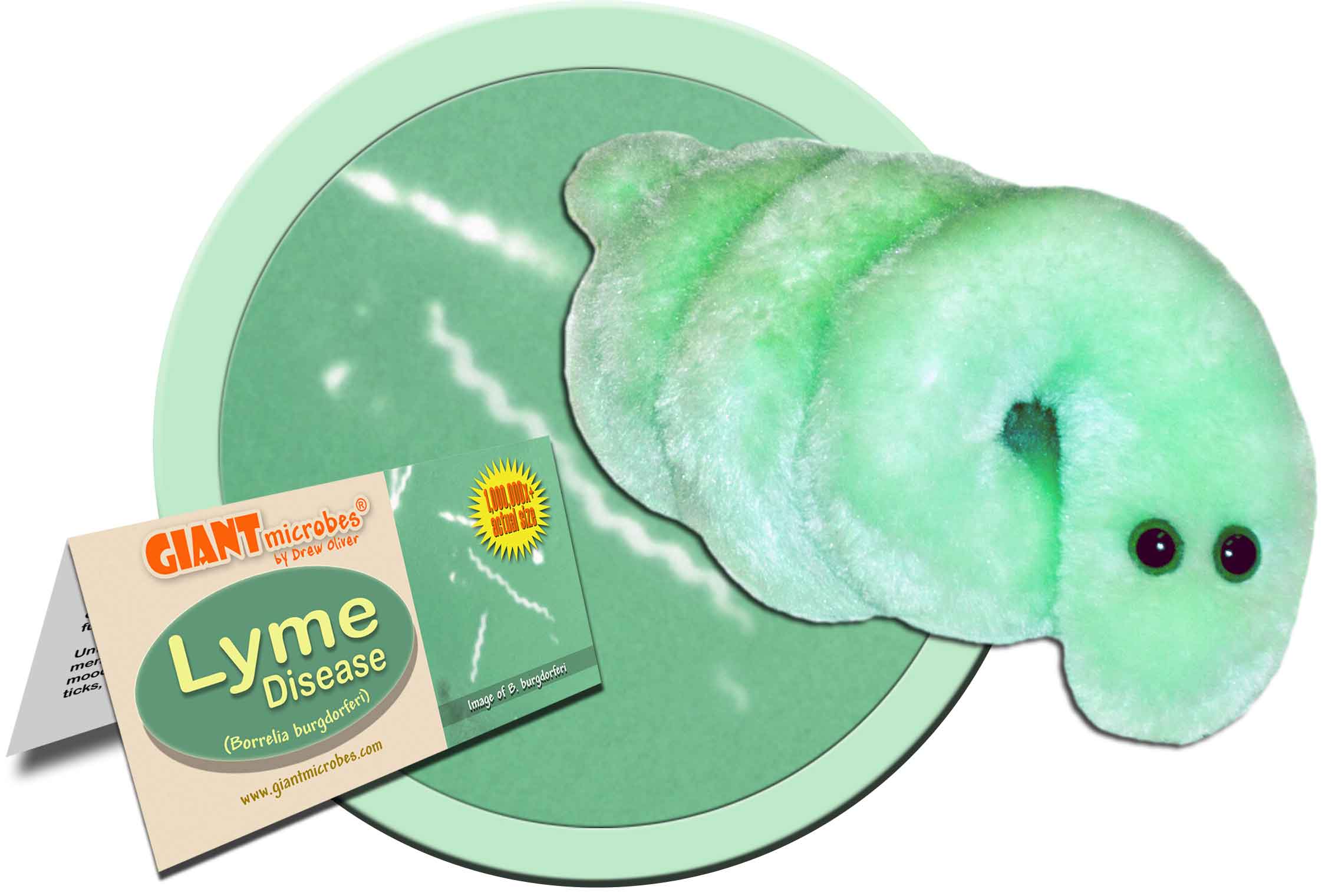 giant microbes lyme disease