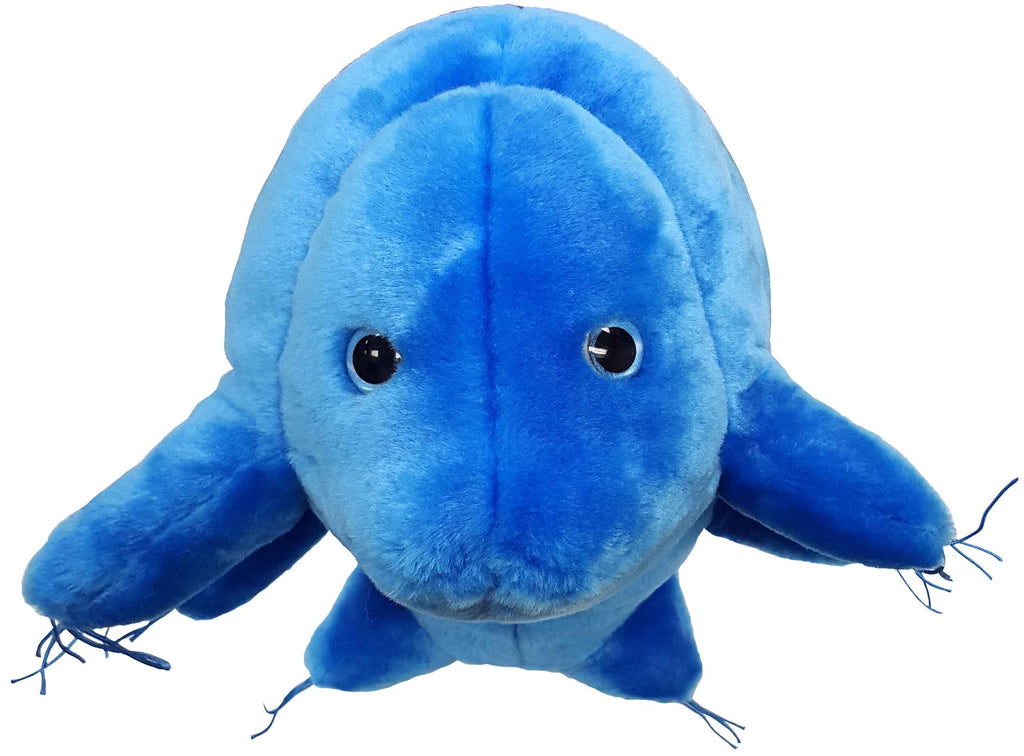 tardigrade plush toy