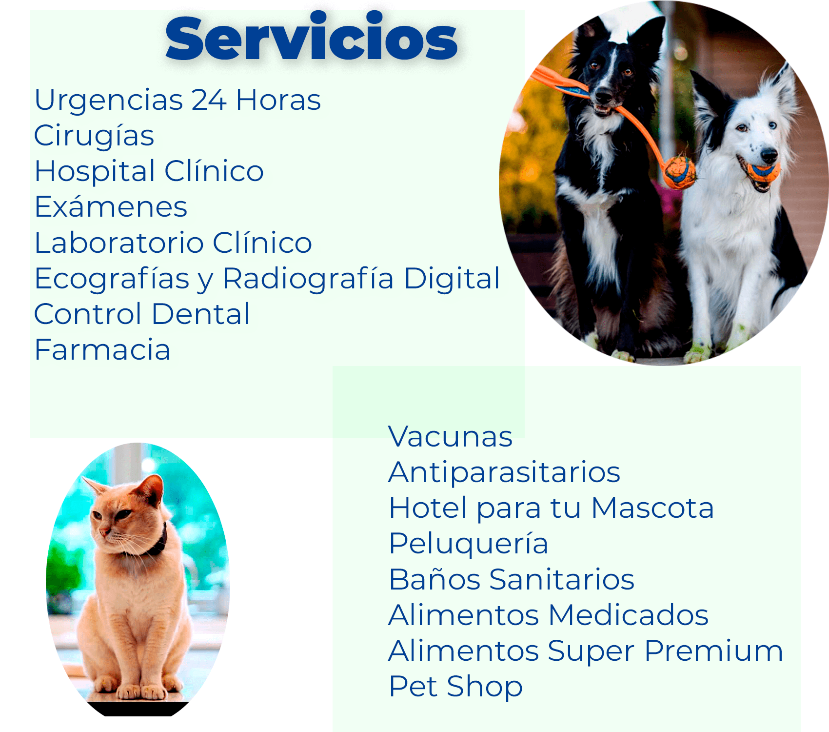 Clinica veterinaria chicureo