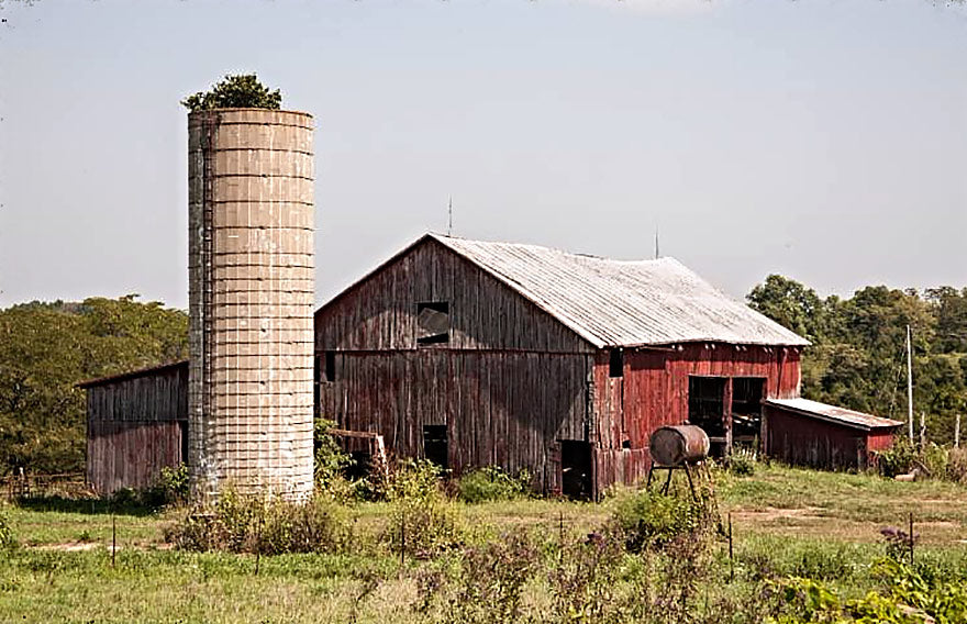 Butler Barn