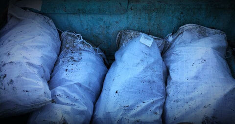 Oysters stored in white 18x30 heavy duty sandbags