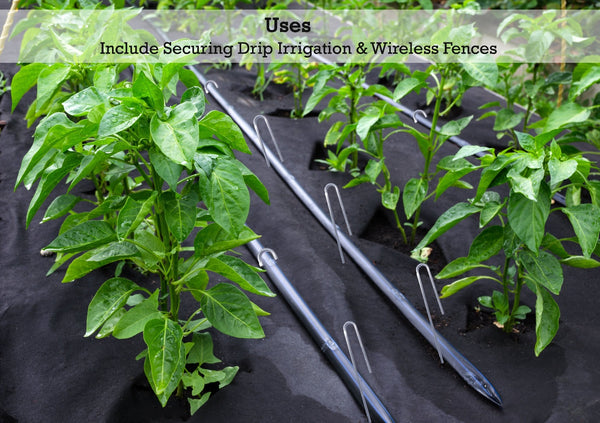 Drip irrigation tubing stakes can be used for securing drip irrigation and wireless fences