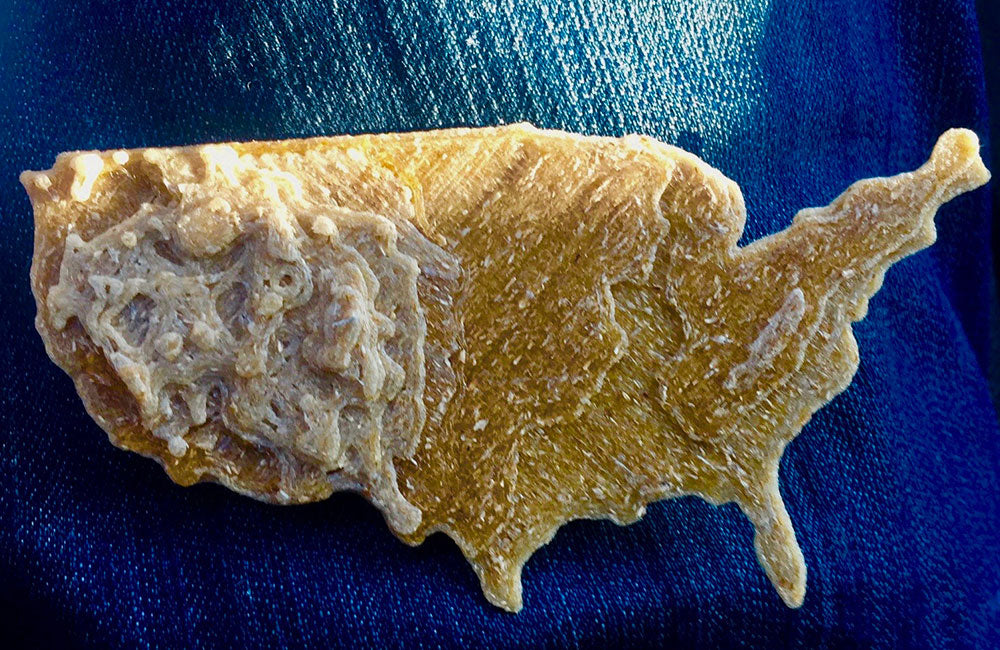 3D Hemp Plastic Print of American Map