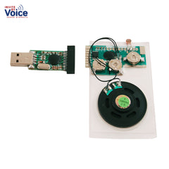 musical light activated sound chip