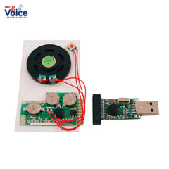 recordable push button chip insert