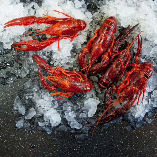 Cajun Crawfish Whole