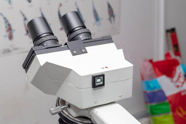 Microscope with USB camera in head