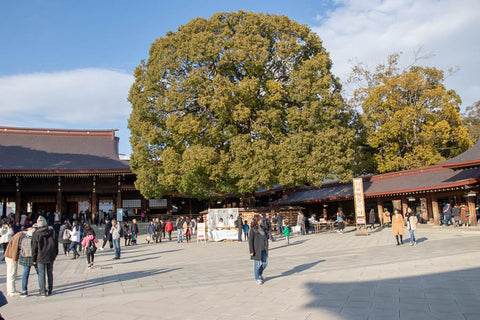 Meiji Shrine Harajuku Yoyogi