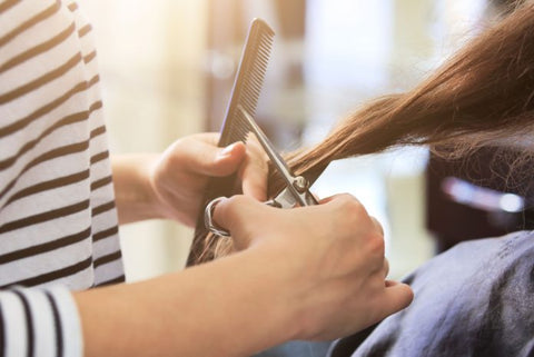 hair stylist shears hairdresser