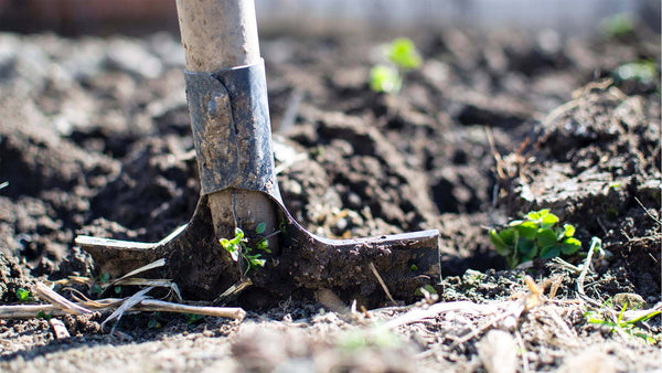 shovel in sustainable soil
