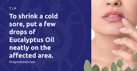 To shrink a cold sore, put a few drops of Eucalyptus Oil neatly on the affected area.