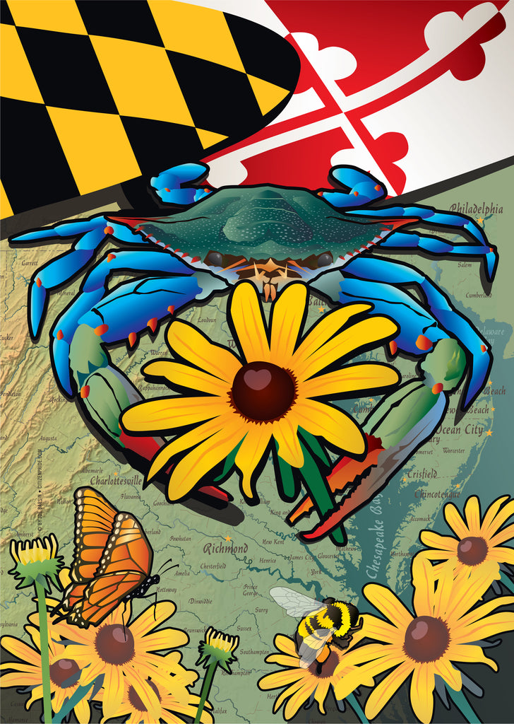 maryland flag house