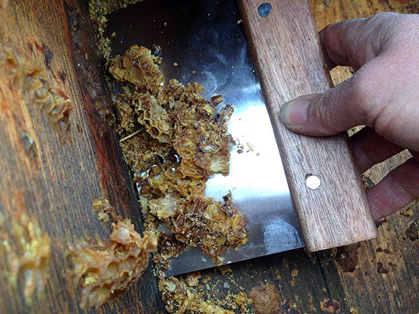 Bee-Hive-Scraping-Shovel-Tool-Harvesting-Propolis from top-bar