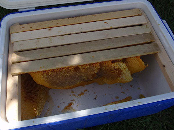 Honey Combs stored for future use in a cooler