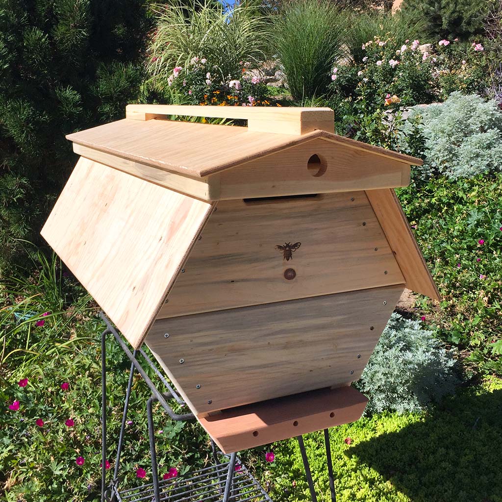Cathedral-hive-ready-for bees
