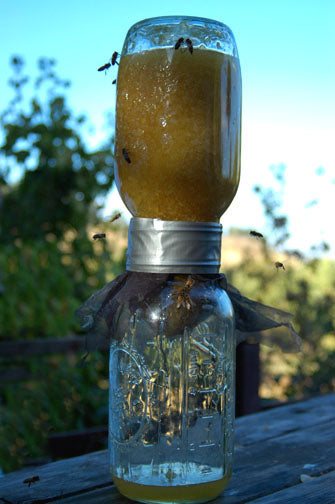 processing-honey-beehive-meshing-jar-hourglass