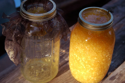 processing-honey-beehive-meshing-jars