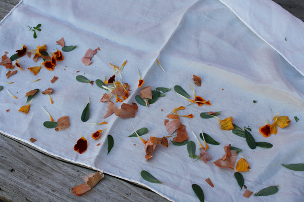 Botanical Printing, laying out the plants