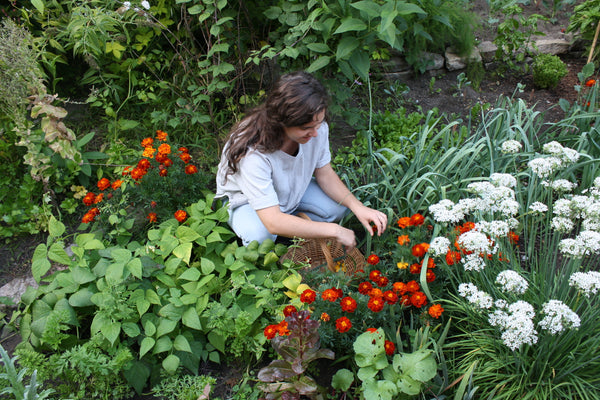 Kerri Westlake in her Dye Garden