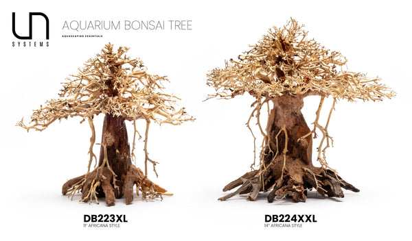 Bonsai Tree Driftwood Africana Hardscape Aquarium Aquascaping Wood