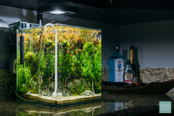 Fluval Planted Tank Aquarium