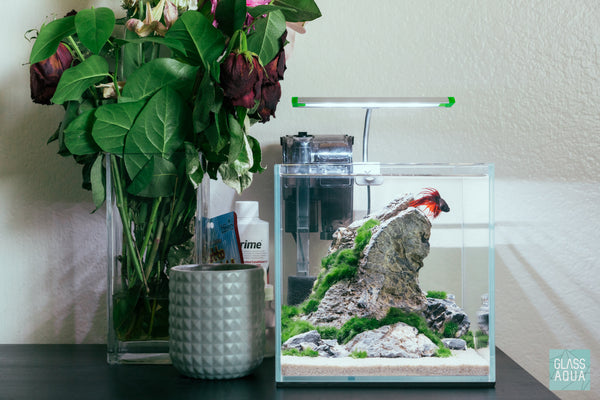 Ultum Nature Systems 2C Cube Betta Aquarium Tank