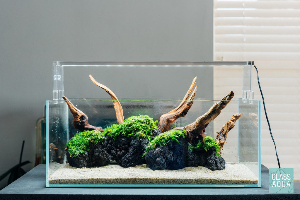 Ultum Nature Systems 45S Shallow Rimless Planted Aquarium Tank