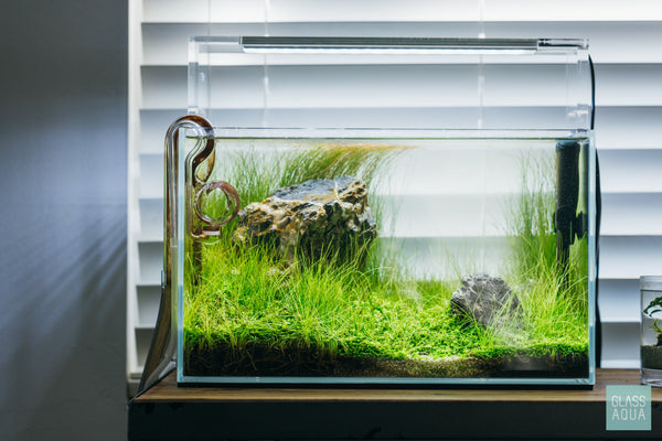 Ultum Nature Systems 5N Nano Tank