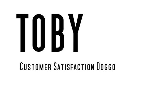 Toby Go Dive Tasmania Customer Satisfaction Doggo