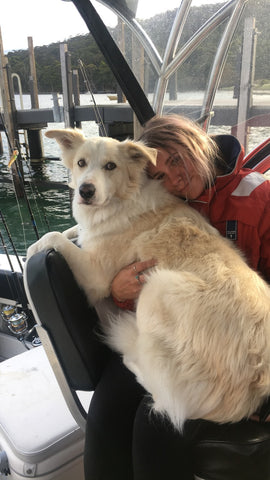 Toby Go Dive Tasmania Doggo Fishing