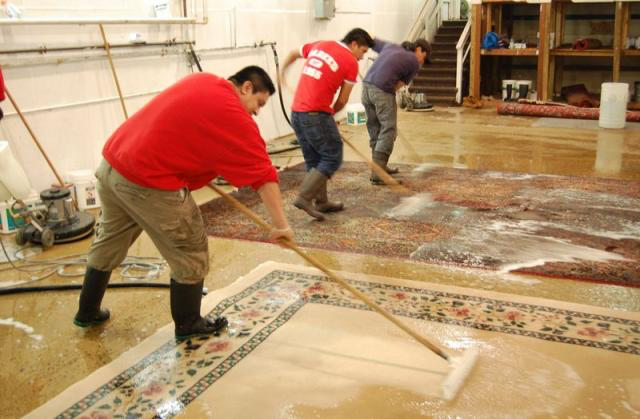 Woven Passion Rugs - Cleaning - Deep Clean Rug