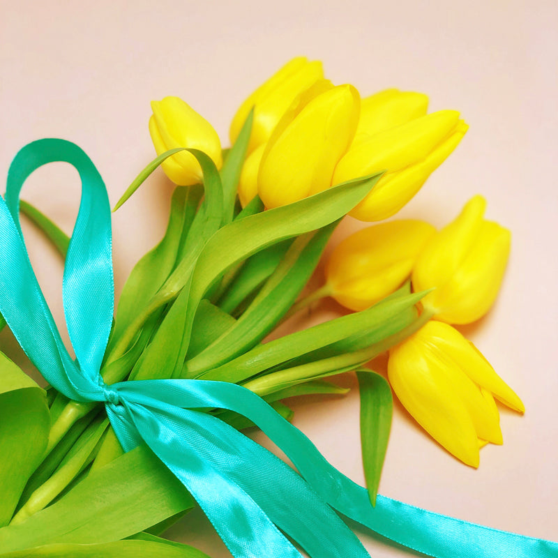 Yellow Tulips on a pink background