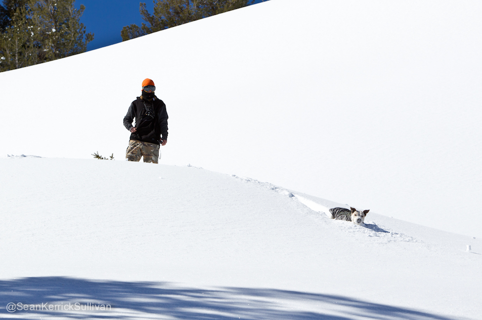 Aaron Biittner and his dog Jack playing in the snow.