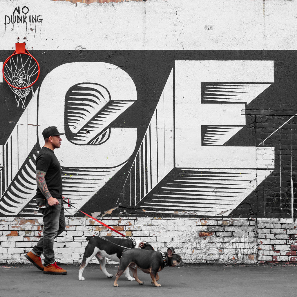 Nick Rimando walking in front of graffiti wall with dogs Bruno & Owin.