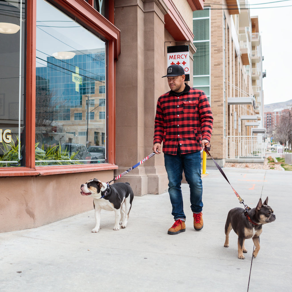 Nick Rimando with his dogs, Bruno & Owin in downtown Salt Lake City.