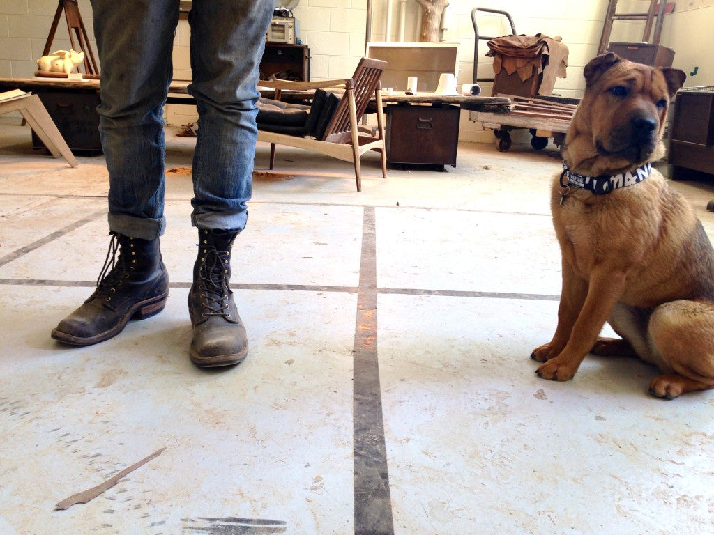 Shar pei on floor in shop with dude's legs.