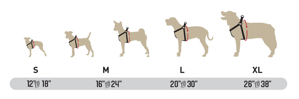 Harness Chart