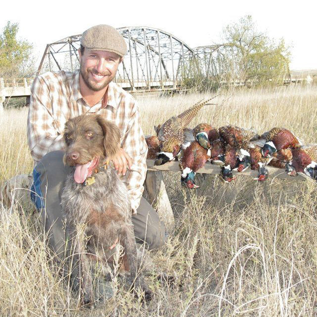 Colby Crossland and his dog Forelle in a field with some pheasants. 