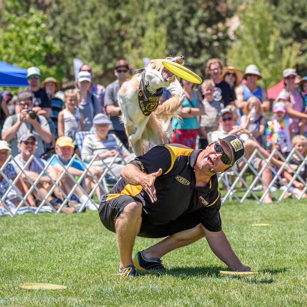 JD Platt with a dog launching off his back to catch a frisbee.