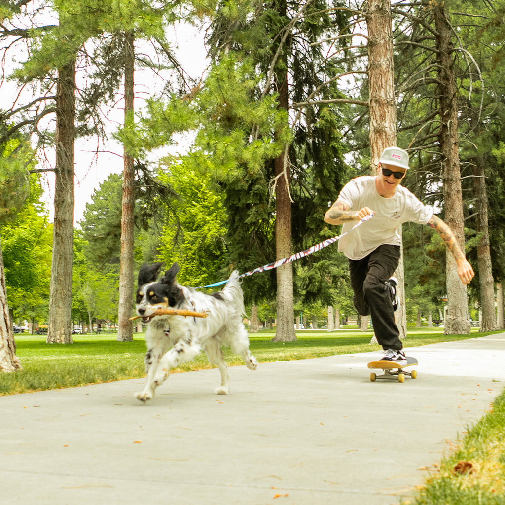 Pat Moore pushing on his skateboard in a park with his dog, Murphy, running out front on a leash.