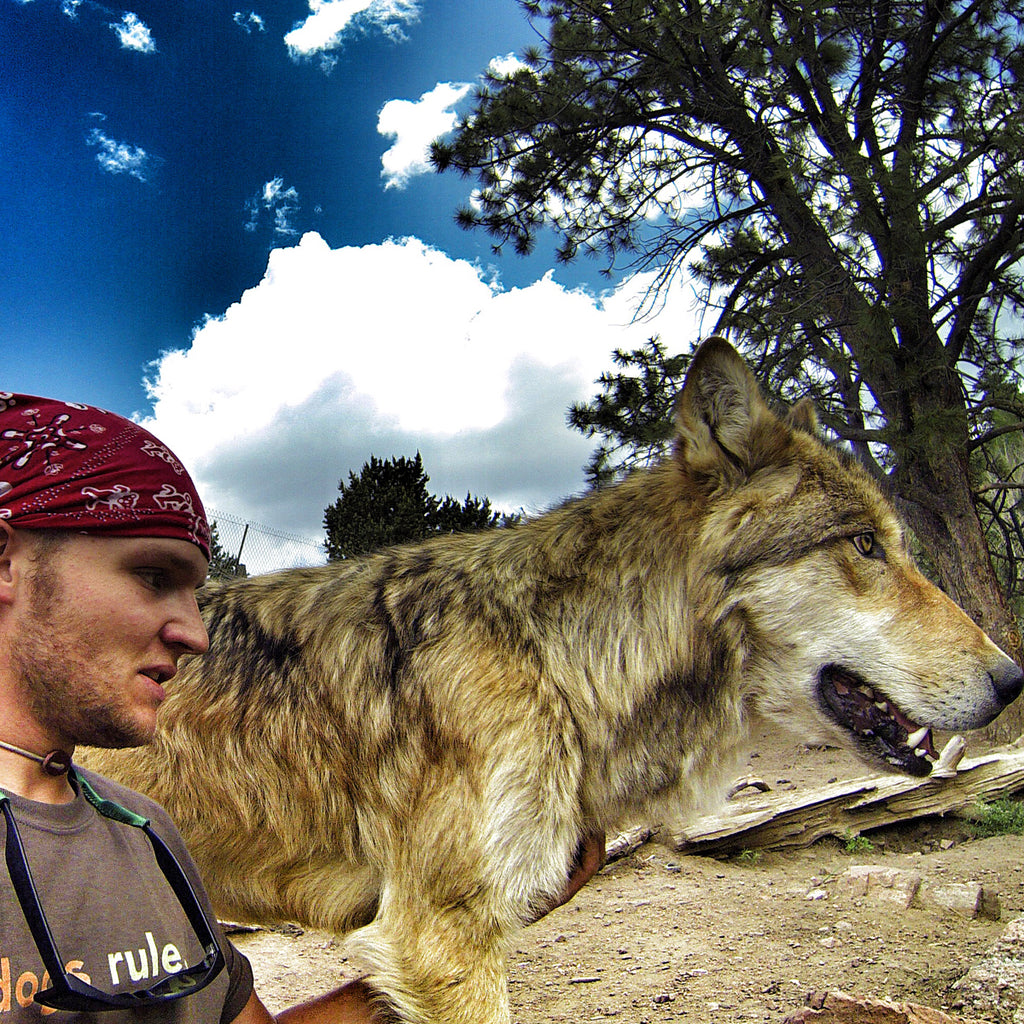 Thomas Davis and a beautiful wolfdog.