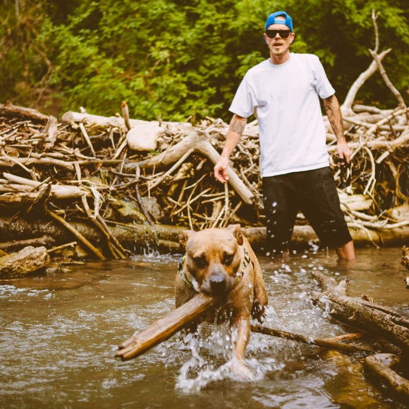 Justin Bennee and Cassius playing with a stick in the river.