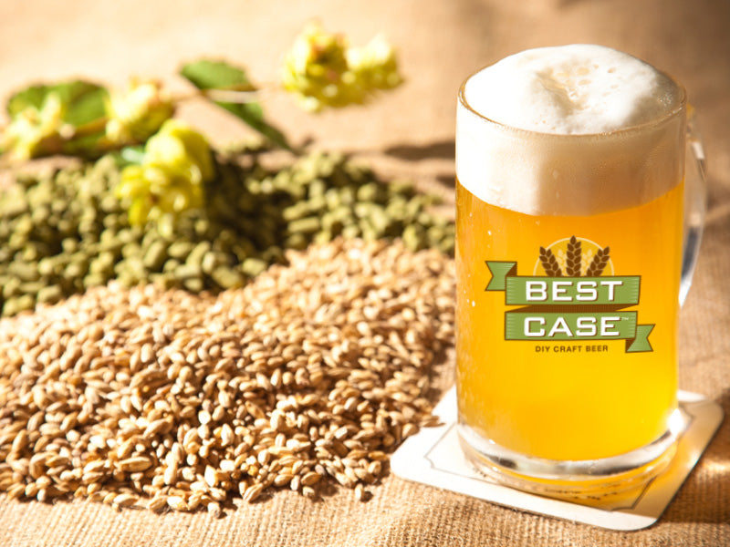 Best Case Beer