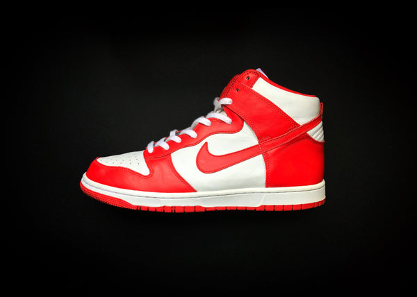 saint johns nike dunks 10